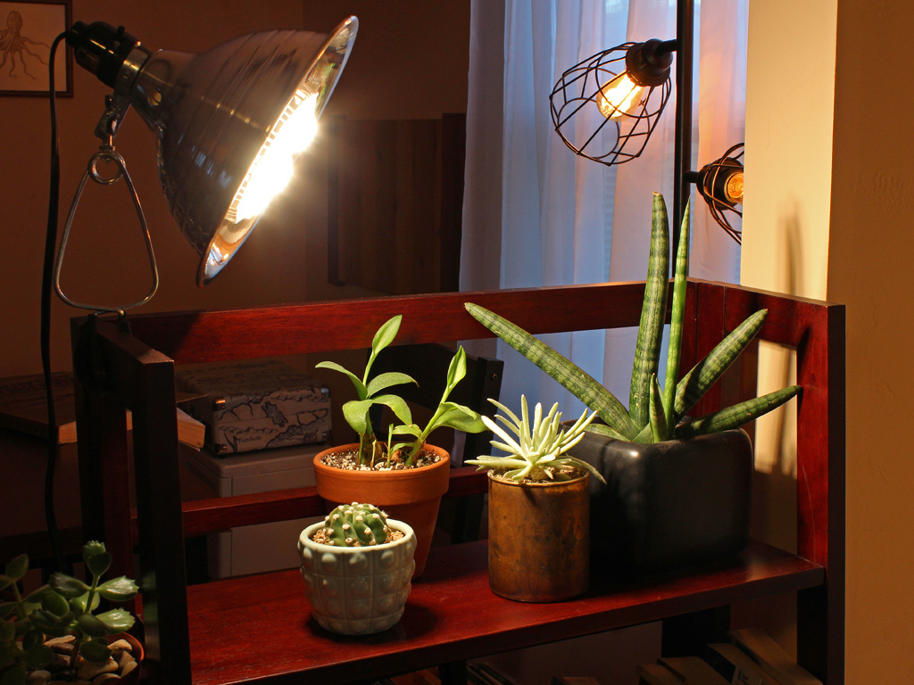 artificial lights help in plant growth